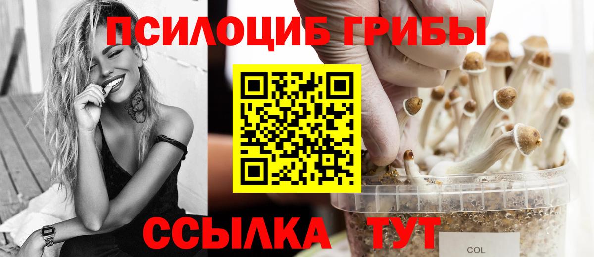 купить закладку  Псилоцибиновые грибы ЛСД  Вход с VPN  Златоуст 